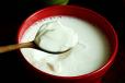 Curd (Small Bowl)