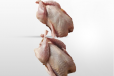 Quail 2 Pieces