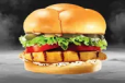 Grilled Mexicy Supreme Combo