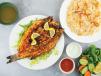 Sea Bass Fish