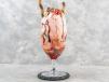 Falooda