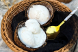 Coconut Sorbet