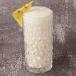 Pina Colada Cocktail