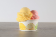 Ice Cream Cup 2 Scoop