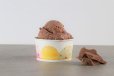 Double Chocolate Ice Cream 1 Scoop