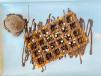 Nutella Belgian Waffle