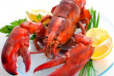 Lobster