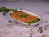 Shakshouka