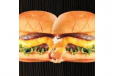 Wagyu Slider