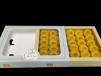 Ring Saffron