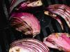 Grilled Red Onion