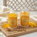 Mango Melt Trifle Mini Cup