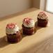 Red Velvet Cupcake