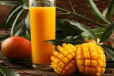 Aliya Juice