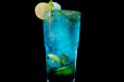 Blueberry Mojito