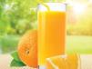 Freshly Squeezed Orange Juice