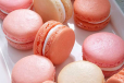 French Macaron 1 Plate