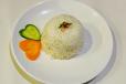 Rice Plain-Jasmine