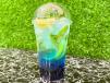 Blueberry Mojito