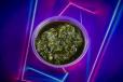 Pesto Sauce