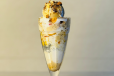 COFFE FALOODA 