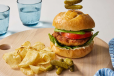 Normal Chicken Burger Sandwich