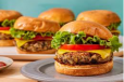 Veg Burger Sandwich