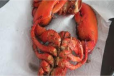 Whole Lobster Cashew Nut