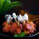 Chicken Lollypop