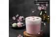 Sakura Latte