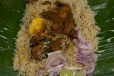 Balayya Babu Biryani (Non Veg)