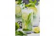 Lemon Fresh Mojito