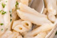Penne White Sauce Pasta