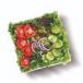 Hara Bhara Salad 