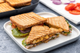 Mushroom Veg Paneer Cheese Grill