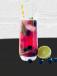 Blueberry Mojito