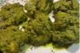 Murgh Chakori Kebab