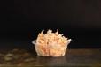 Coleslaw