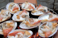 Seashell Meal