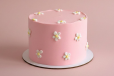 Pink Daisy Cake