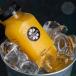 Fresh Orange Juice