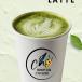HOT MATCHA LATTE