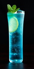 Blueberry Mojito