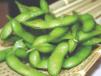 Sweet Edamame Seeds