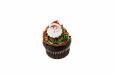 Christmas Santa Cupcake