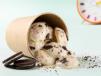 Mini Oreo Pancakes