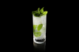 Elder Flower Mojito