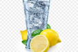 SODA SARBATH