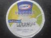 Yoghurt