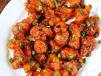 Gobi Manchurian Plate